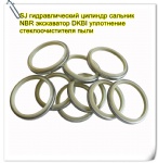 SJ Hydraulic Cylinder Oil Seal NBR Excavator DKBI Dust Wiper Seal