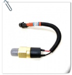 60072876 1MPa-24V-650k-M16-AMP Mobile Crane Oil Pressure Switch